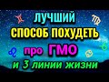 БОЛТАЛКА: самый действенный способ худеть, 3 линии жизни на ладони и стоит ли бояться ГМО. № 609