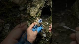 POV: You are a bug exploring a secret underground world. 🔦✨ #pov #naturelovers #discovery