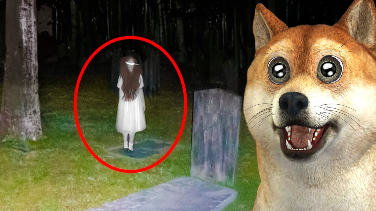 As pegadinhas mais ASSUSTADORAS capturadas por câmeras!