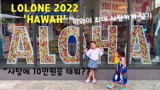 하와이 최대 사탕가게를 가다. 사탕값이 10만원 실화? 알라모아나 쇼핑센터 이츠슈가. 2022 HAWAII. 로로네 하와이 여행 5탄. its sugar.