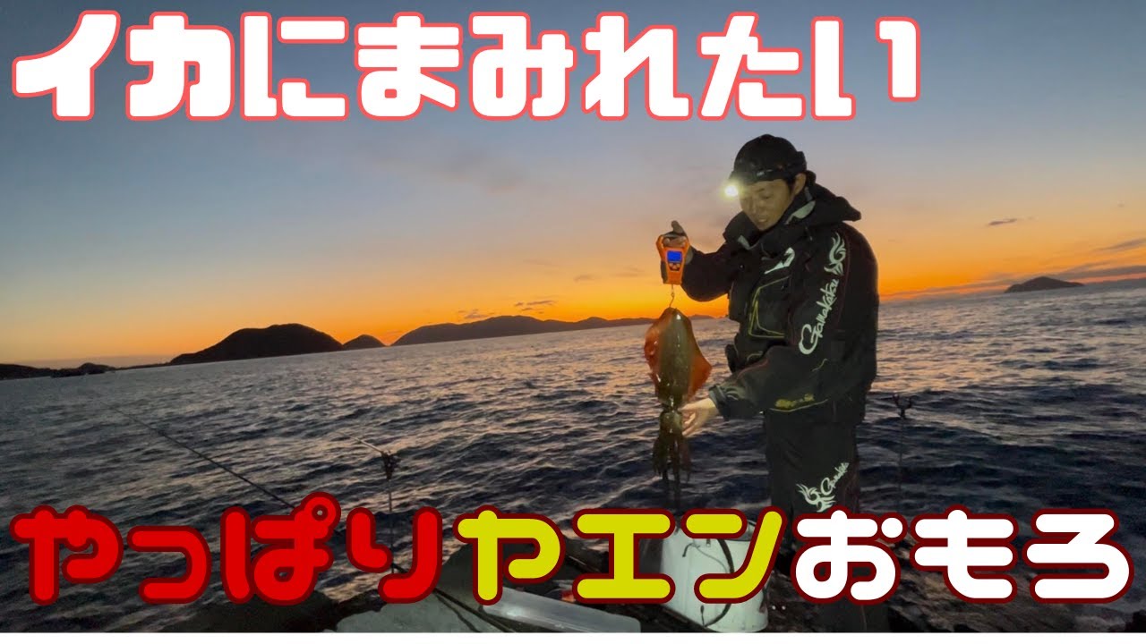 【ヤエン釣り】あたりが多いと面白くって2日半没頭してしまった2025年末【高知県】