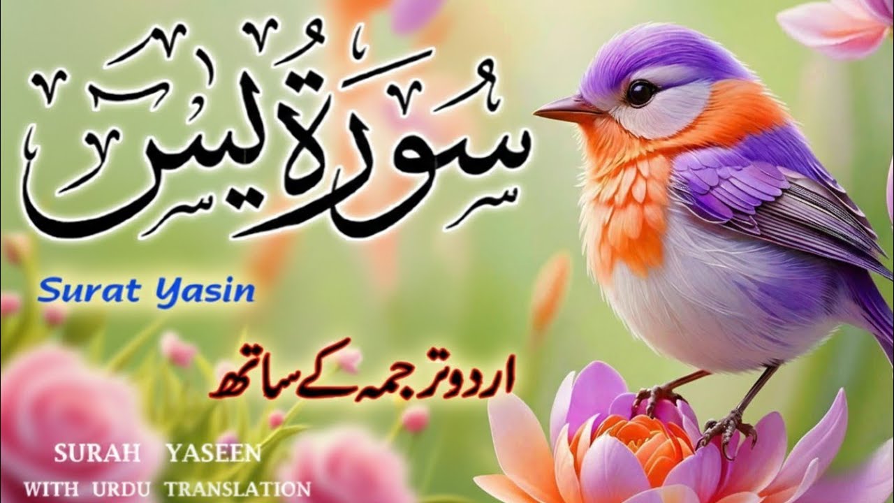 Surah Yaseen Urdu & Hindi Translation | Spiritual Tilawat by Qari Ismail Al Nouri | Episode 371