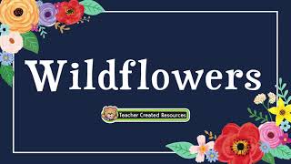 Wildflowers Classroom