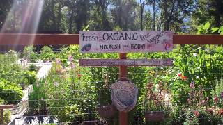 Columbia Falls Montana and more