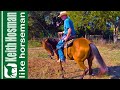 Train Your Horse to Lower Its Head & Relax