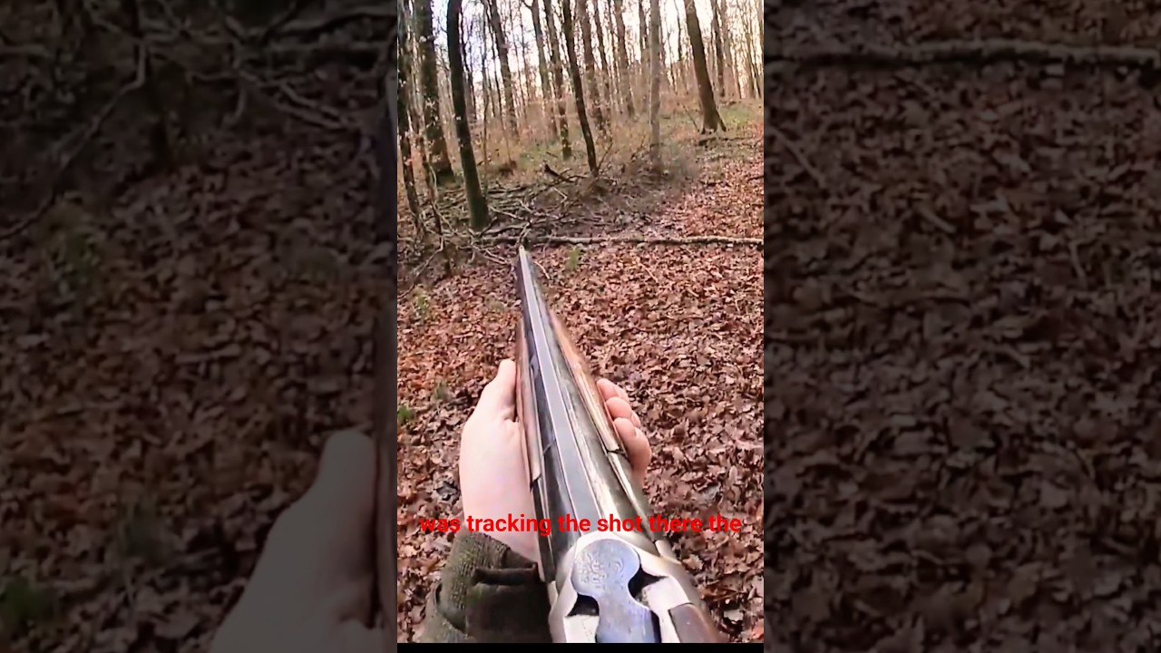 Дикий зверь остановлен на месте 