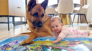 This Baby’s Reaction to Exploring with Her German Shepherd Is Priceless