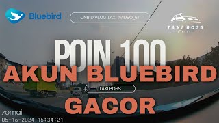 AKUN BLUEBIRD DRIVER GACOR BANGET NIH || SAMPAI GAK SEMPET ISTIRAHAT