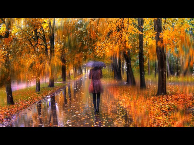 Sergey Grischuk  -  Rain...Rain (Instrumental) class=