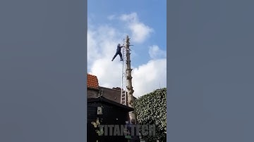 Insane Tree Cutting Fails That Almost Ended Their Life