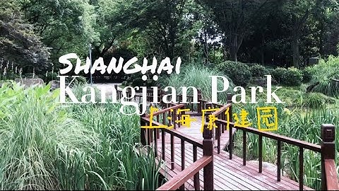Kangjian Park Shanghai July 2022, What They Have 上海康健園 - 天天要聞