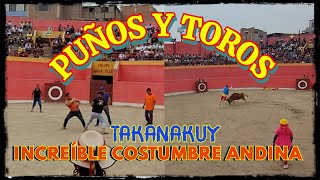 ¡TAKANAKUY! INCREIBLE FIESTA DE PUÑETES  Y CORRIDA DE TOROS DE LIDIA.