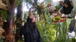 METIK PAKIS , JAAT DAN PISANG  DIKEBUN | LANGSUNG MASAK (ANGEUN TUTUT)⁉️