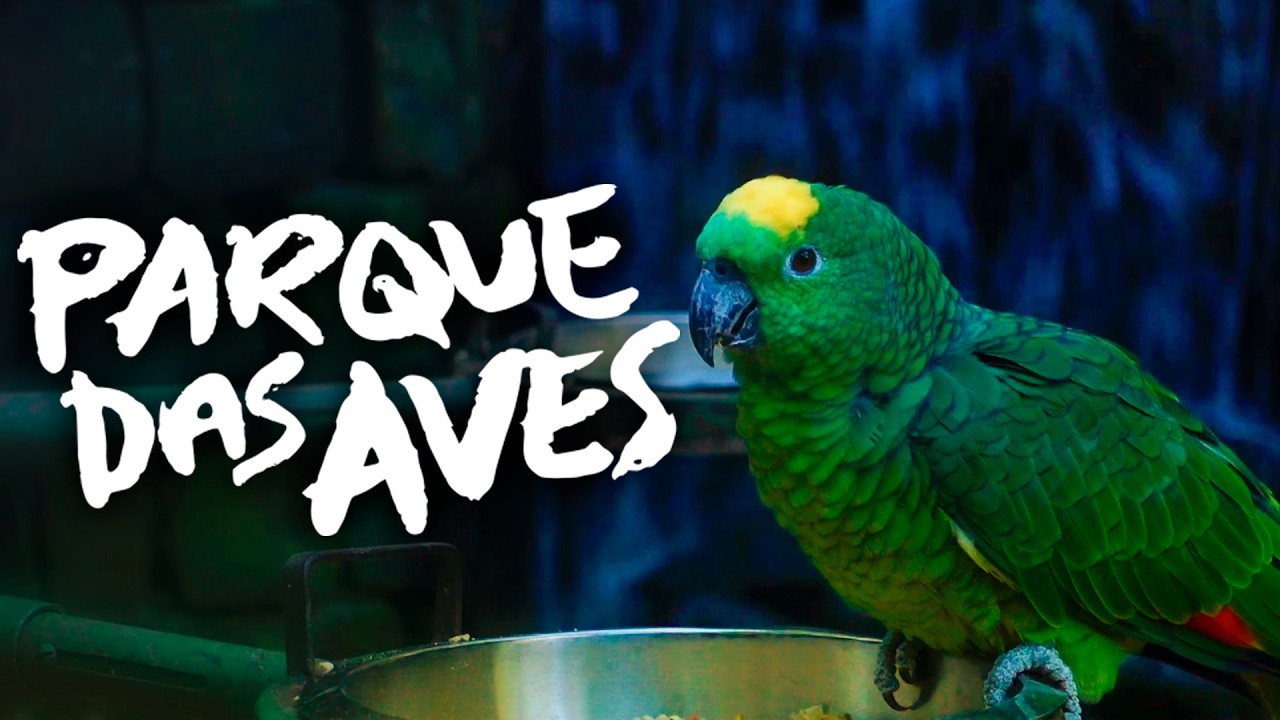 The Parque das Aves - Iguazu - Brazil