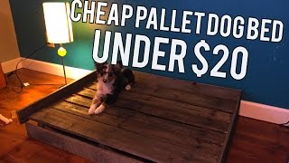 A cheap diy dog bed that i made for my dog! subscribe if you enjoyed
the video, and comment to let me know what think! ~~~~~~~ welcome
meister squared...