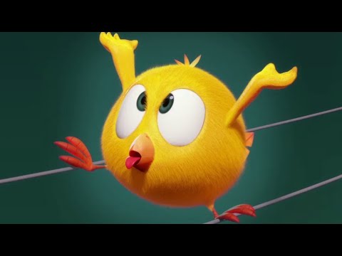 Где Чики? 🐥 Chicky НОВАЯ СЕРИЯ! | мятежная птица 😛 Сборник мультфильмов на русском языке