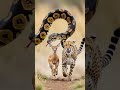 हिरण को कौन बचाएगा#shorts #ai #tranding#viral #AI video