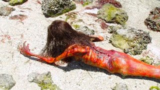 Selama Ini Orang Mengira Lautan Tidak Berbahaya Namun Nyatanya Sangat Mengerikan