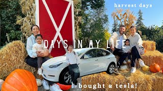 days in my life VLOG | bought a tesla, harvest days, shopping for halloween & fall
