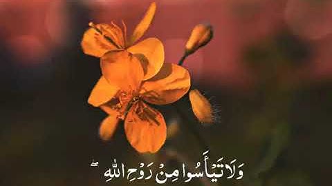 حالات واتس اب قران كريم بصوت القارئ ادريس ابكر تلاوة مؤثرة //اجمل حالات واتس اب دينية تلاوة خاشعة