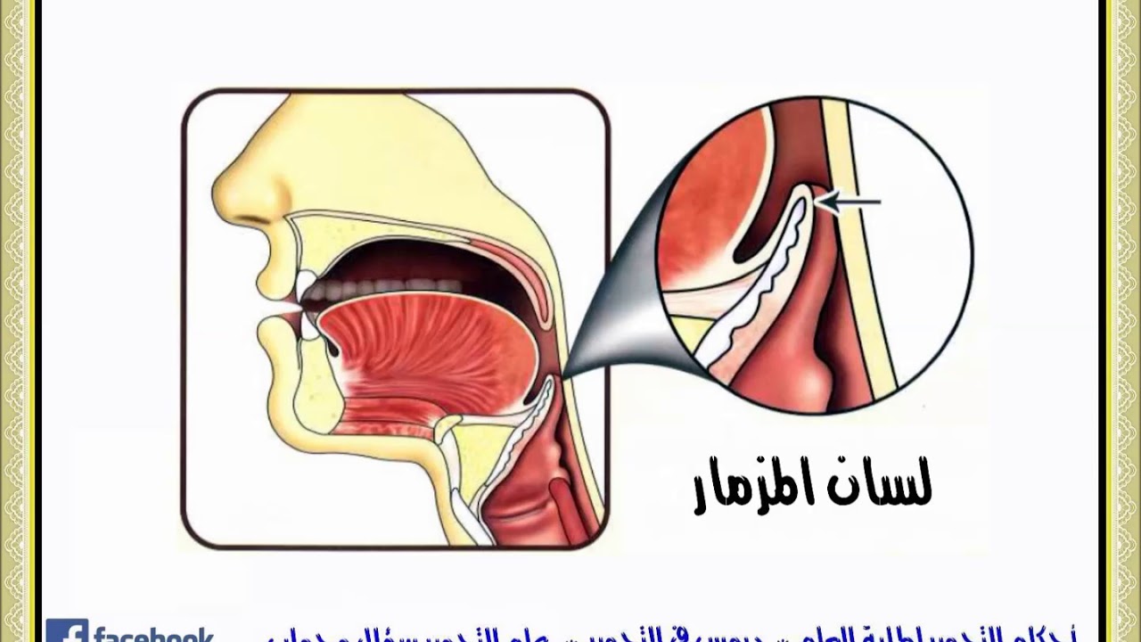 ما هو دور لسان المزمار في تحقيق صفات معينة؟
