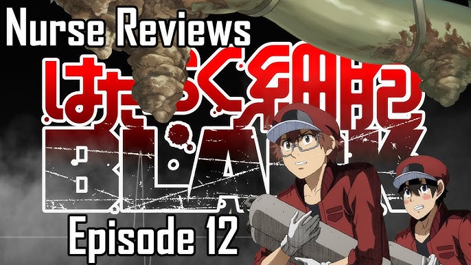 Cells at Work: Code Black [Manga Review]