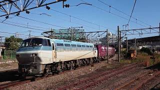 【EF66 100番台】EF66-105牽引 貨物列車 5075レ 2017年11月9日 浜川崎駅