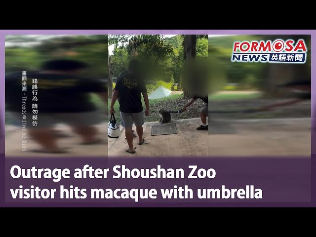 Outrage after Shoushan Zoo visitor hits macaque with umbrella｜Formosa English News