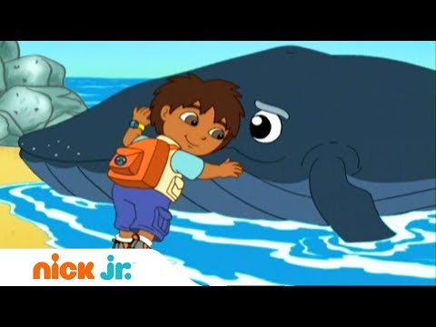 Гоу, Диего, Гоу! | Плюхнись в воду! | Nickelodeon