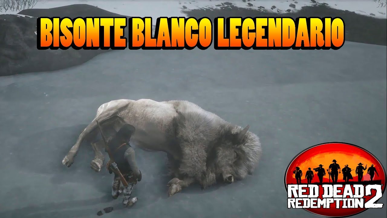 Bisonte blanco legendario - Guia caza RED DEAD REDEMPTION 2 - YouTube