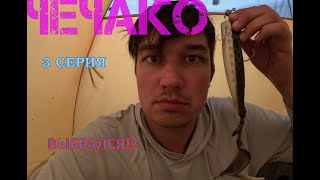 видео: ВЫБИРАЮСЬ ИЗ ЛЕСА || ГОСТЬ СПЛАВА || БОЛЬШОЙ СПЛАВ ПО РЕКЕ ЛОВАТЬ. 229 КМ ПО ПУТИ ИЗ ВАРЯГ В ГРЕКИ!! картинка: ВЫБИРАЮСЬ ИЗ ЛЕСА || ГОСТЬ СПЛАВА || БОЛЬШОЙ СПЛАВ ПО РЕКЕ ЛОВАТЬ. 229 КМ ПО ПУТИ ИЗ ВАРЯГ В ГРЕКИ!!