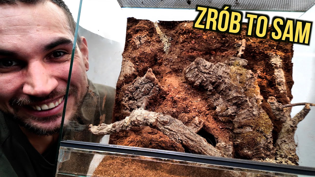 Jak zrobić TROPIKALNĄ ściankę do terrarium? PORADNIK- Zrób to sam