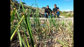 La Canoa #conociendomexquitic