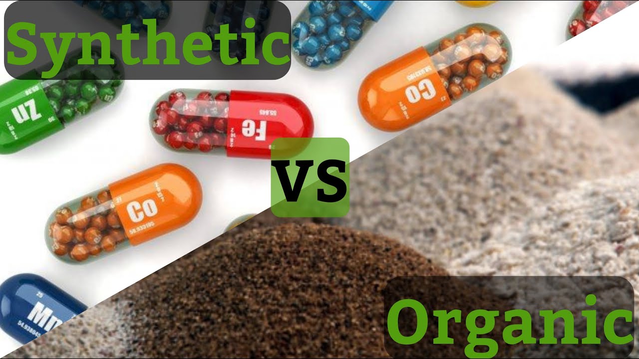 The Friendly Grower - Organic VS Synthetic
