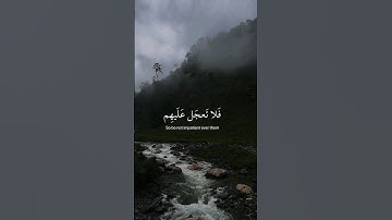 فلا تعجل عليهم إنما نعد لهم عدا 💛 القران الكريم بصوت عبدالرحمن مسعد 🎧🥹