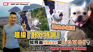 超級野外特訓 法虎小霸王 如何由Hater變Lover?❤  French Bull Super outdoor training