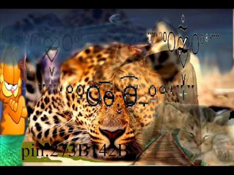 ابراهيم الحكمي كنت خالي البال