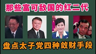 杨兰兰是怎么来的？盘点中共太子党四种“敛财”致富发家史 |  红二代 | 江泽民 | 邓小平 | 温家宝 | 李鹏 | 江志成 | 江绵恒 | 李小琳 | 邓朴方 | 六四 | 习近平