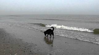 MVI_3338.AVI