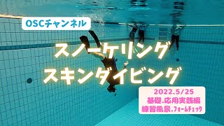 スノーケリング（シュノーケリング）の基本から始めて潜れるようになろう！フィンキックや立ち泳ぎの練習も！OSCスキンダイビング講習会・基礎編の練習風景 in 横浜国際プール