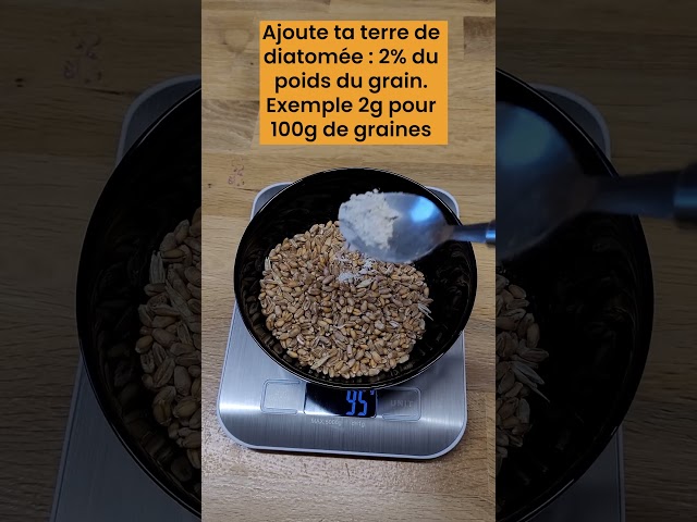 Vermifuger naturellement ses poules