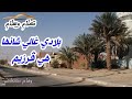 كلام وسلام قالو بلادي غالي شانها هي قرزيم الشاعر وهاج مصطفى شعر شعبي ملحون 