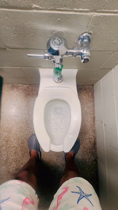 2001 Crane Placidus Toilet