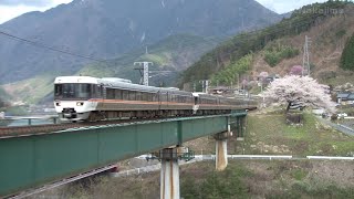 中央西線  倉本～落合川　桜と383系、313系、EF64