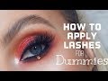 How to Apply Lashes for Dummies! | KeilidhMua