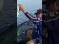 Championship topwater bite for Bakewell on Kissimmee