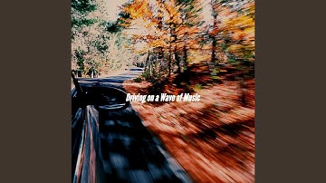 Extraordinary Backdrops for Momentum Reflection