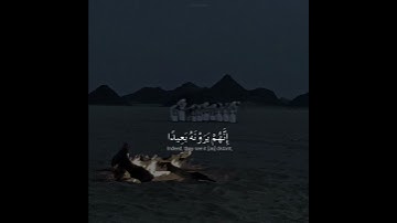فاصبر صبرا جميلا - تلاوة خاشعة هادئه قران كريم بصوت جميل جدا
