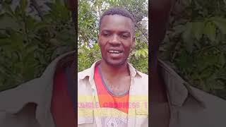 uyimvire uko avuga RIB #bibiliya #bojjukaragisuvavyayama #gusenganiubuzima #film #yesu #movie