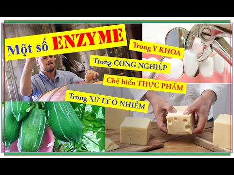 Video: Invertase được sử dụng như thế nào trong công nghiệp?